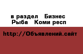  в раздел : Бизнес » Рыба . Коми респ.